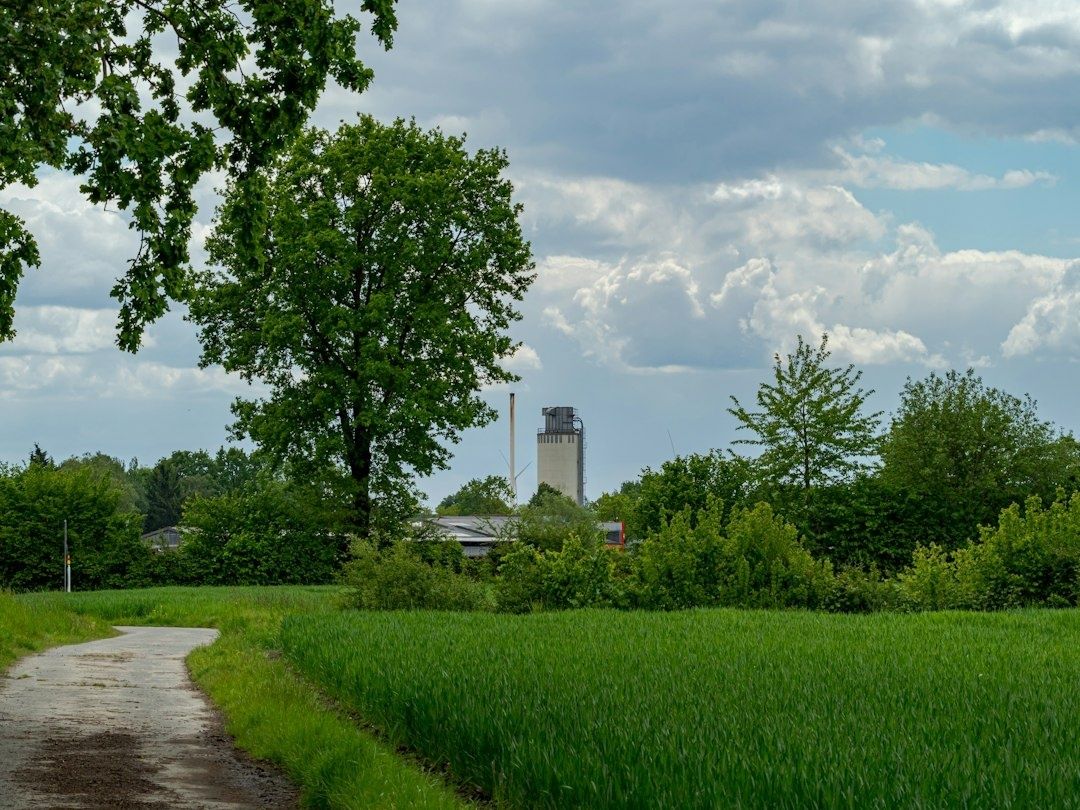Grünes Feld und Fußweg vor Bäumen und einem Industriegebäude